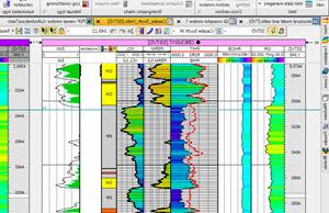 软件屏幕显示，组织和解释任何类型的井数据.